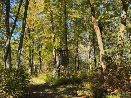 2764 320th Avenue, Brook Park, MN 55007