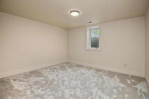 Lower level bedroom. Perfect guest or teen area.