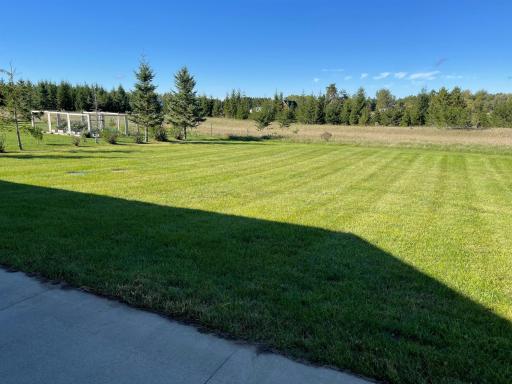 Back Yard.jpeg