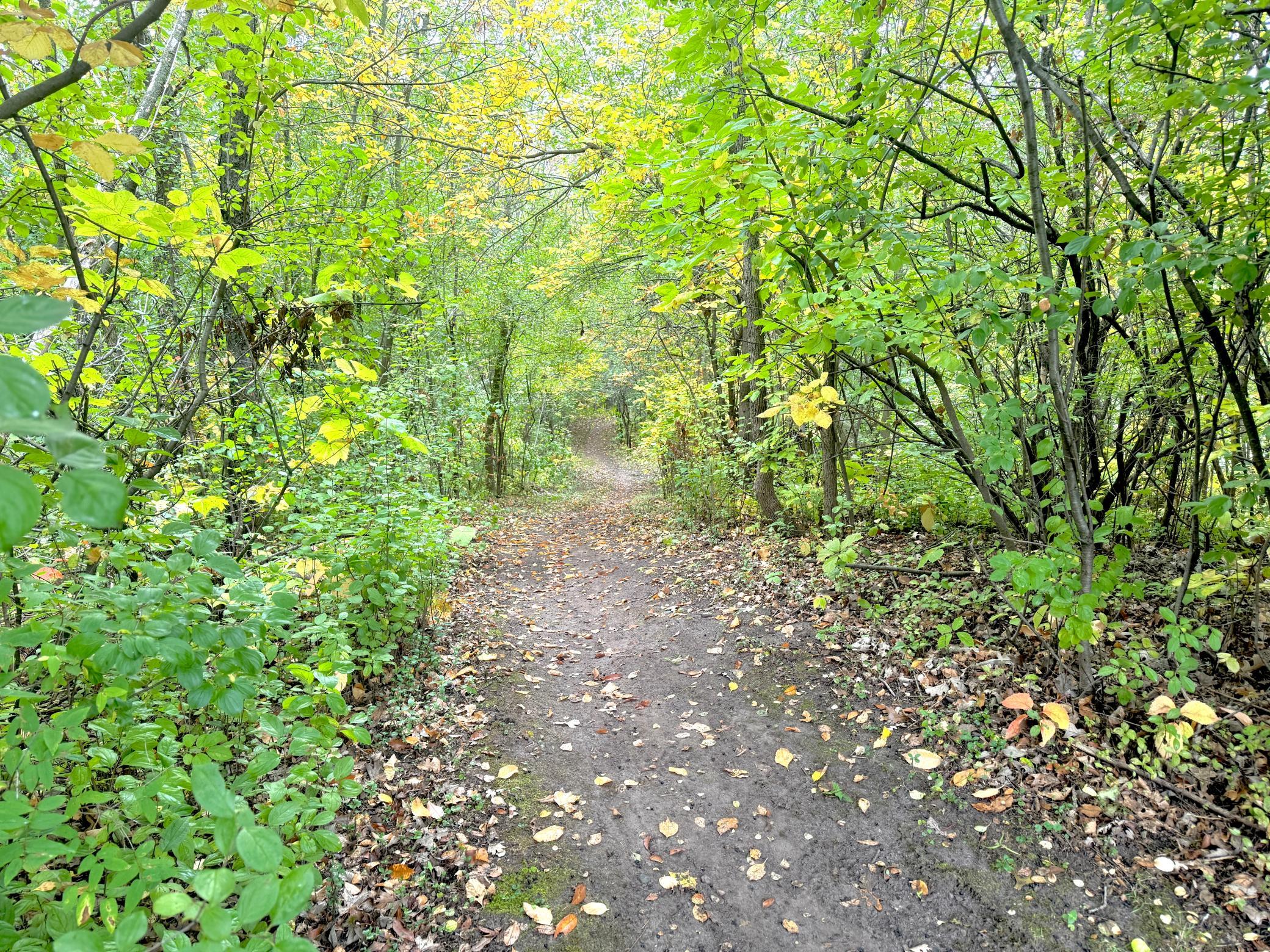 This trail head is by the garages. Connects to the complex trails and county trails.