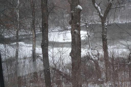 Views of the pond from your living room window