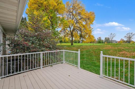 8950 Deer Run Court, Victoria, MN 55386