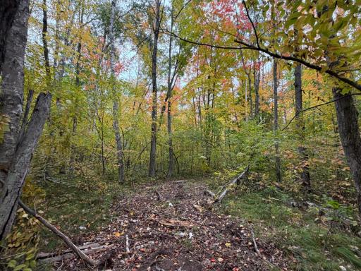 51181 Sand Creek Rd, Bruno, MN 55712