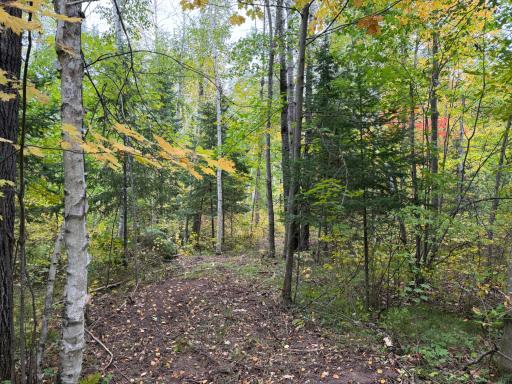 51181 Sand Creek Rd, Bruno, MN 55712