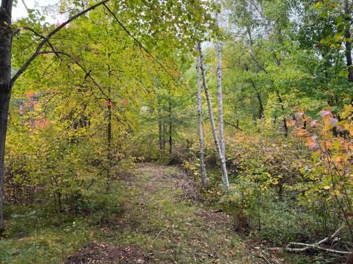 51181 Sand Creek Rd, Bruno, MN 55712