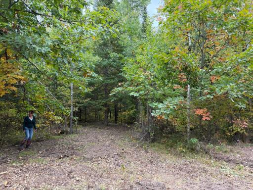 51181 Sand Creek Rd, Bruno, MN 55712