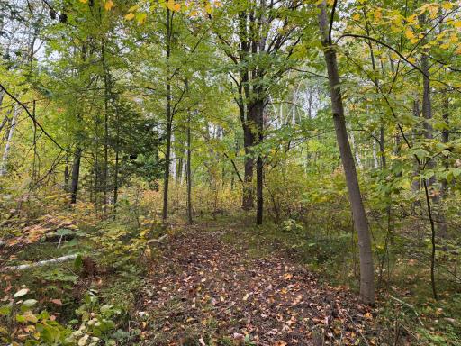 51181 Sand Creek Rd, Bruno, MN 55712