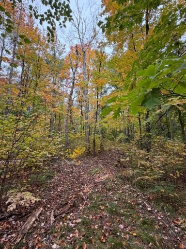 51181 Sand Creek Rd, Bruno, MN 55712