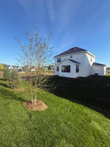 11614 19th Street NE, Saint Michael, MN 55376