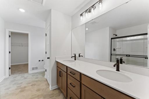 Owner's Bathroom