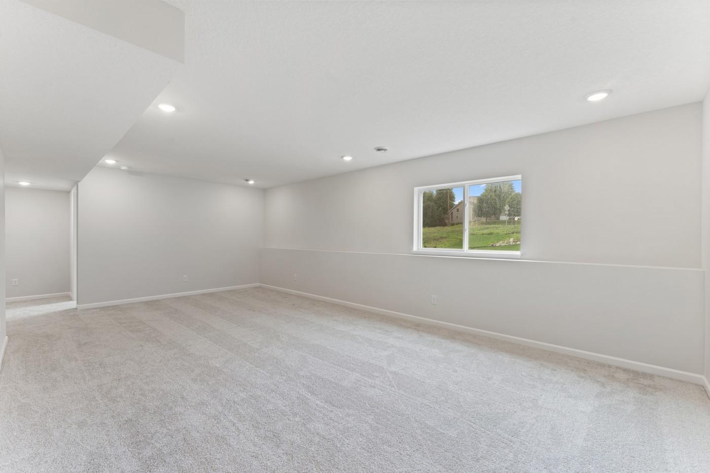 Finished Lower-Level