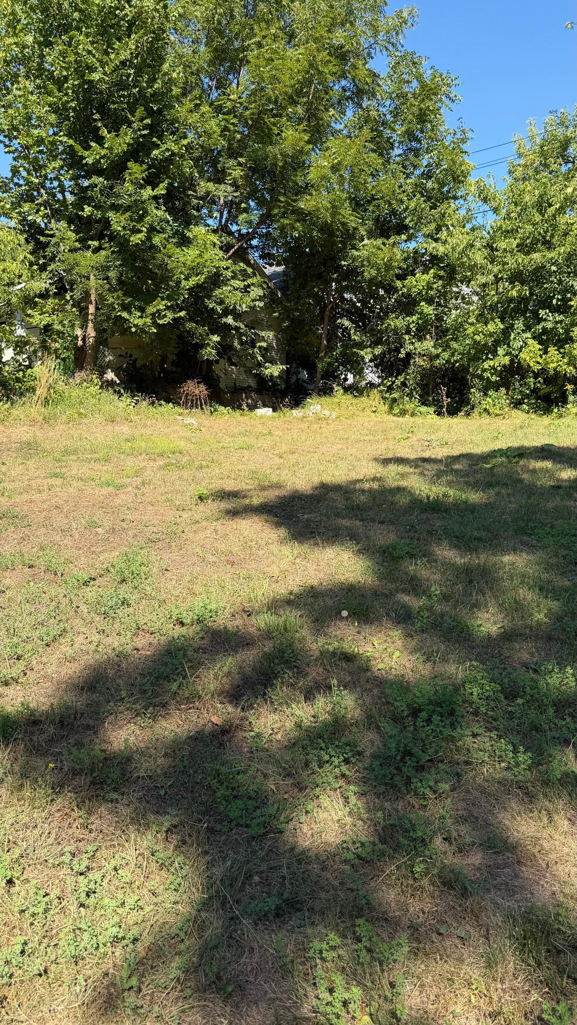 IMG_0588.jpeg