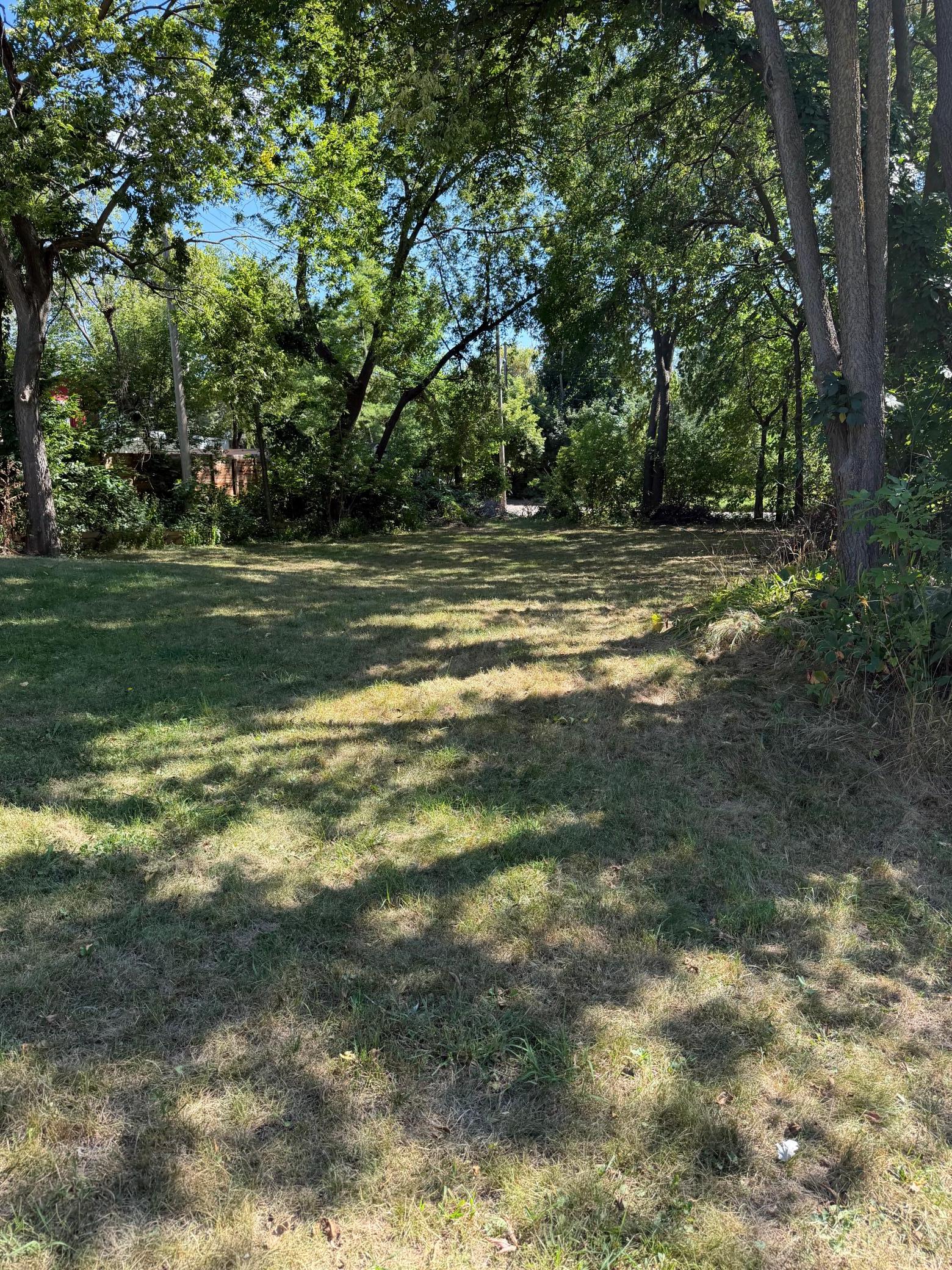 IMG_0586.jpeg