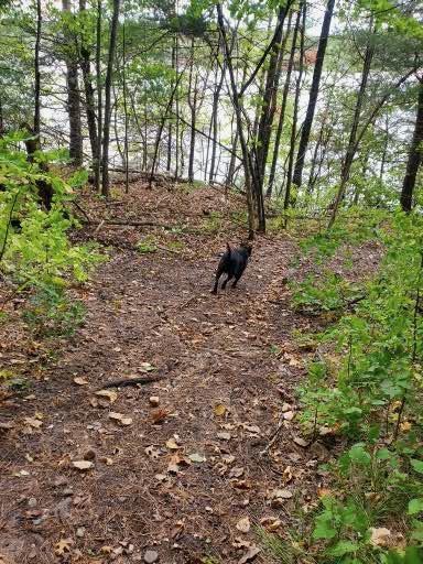 trail to private river beach