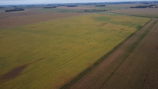 TBD 280th Street, Danube, MN 56230