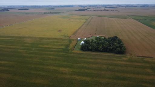 TBD-1 280th Street, Danube, MN 56230