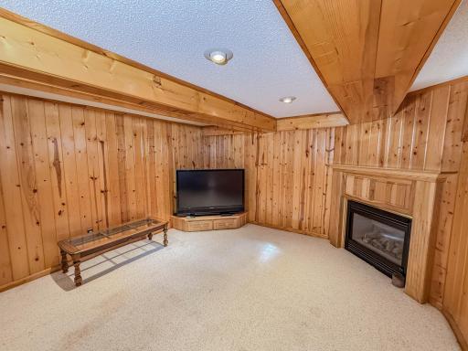 Finished Basement - Family Room - Gas Fire Place