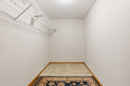 Basement bedroom with large Walk in closet