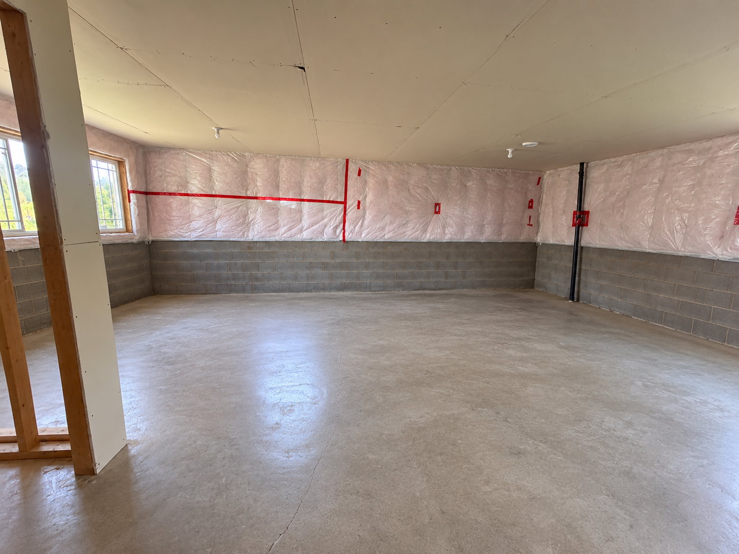 Unfinished Basement