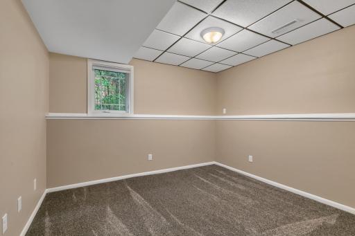 Both lower level bedrooms feature pull down blinds, new paneled passage/entry doors and new light fixtures.