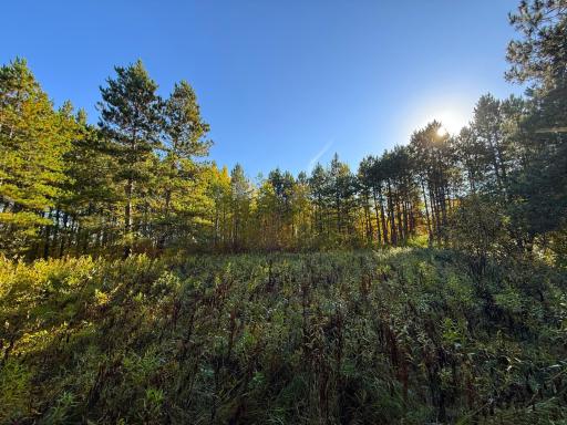 XXX 540th Lane, Palisade, MN 56469