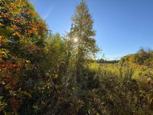 XXX 540th Lane, Palisade, MN 56469