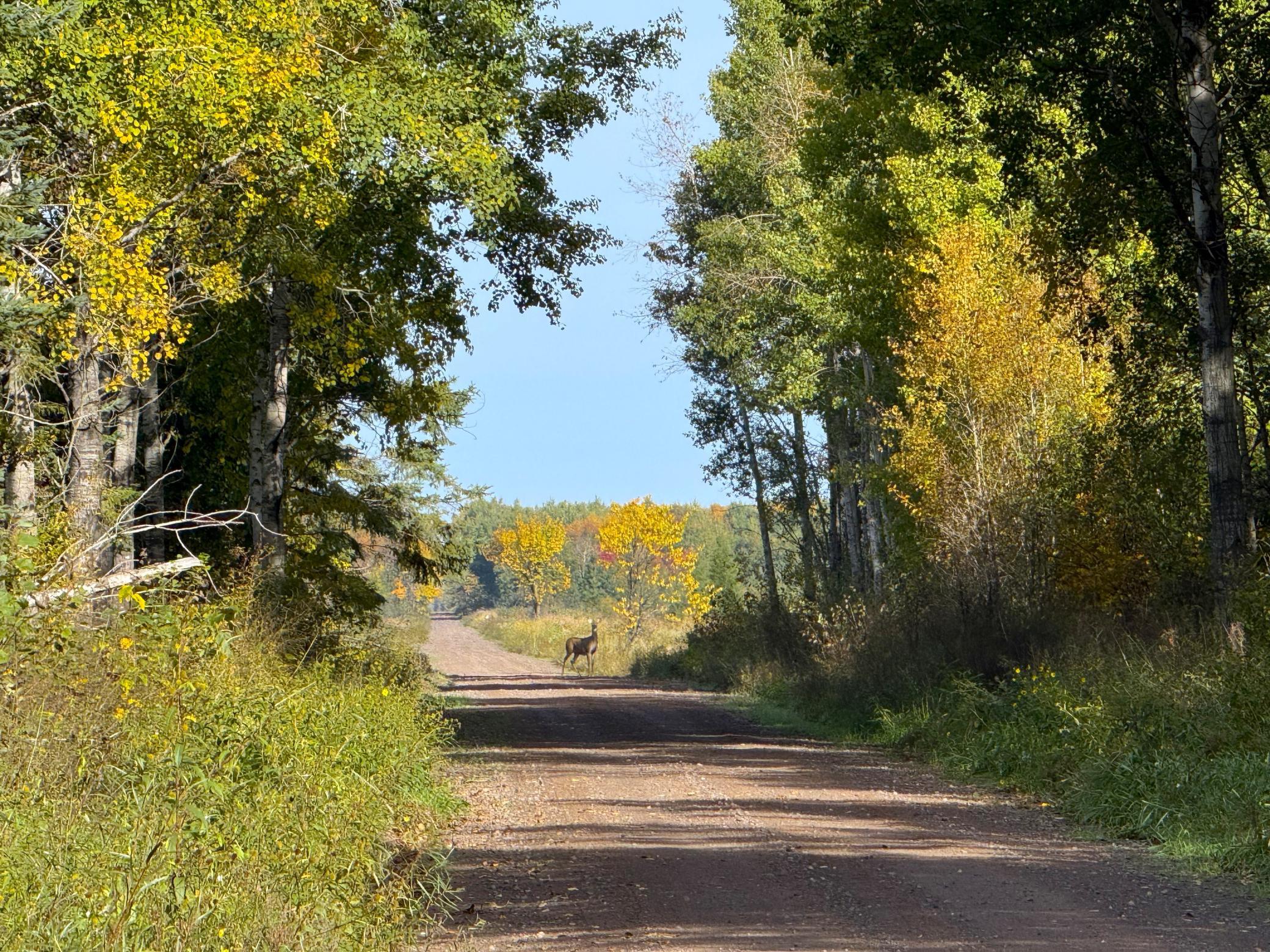 IMG_6418.JPG