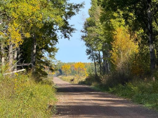 XXX 540th Lane, Palisade, MN 56469