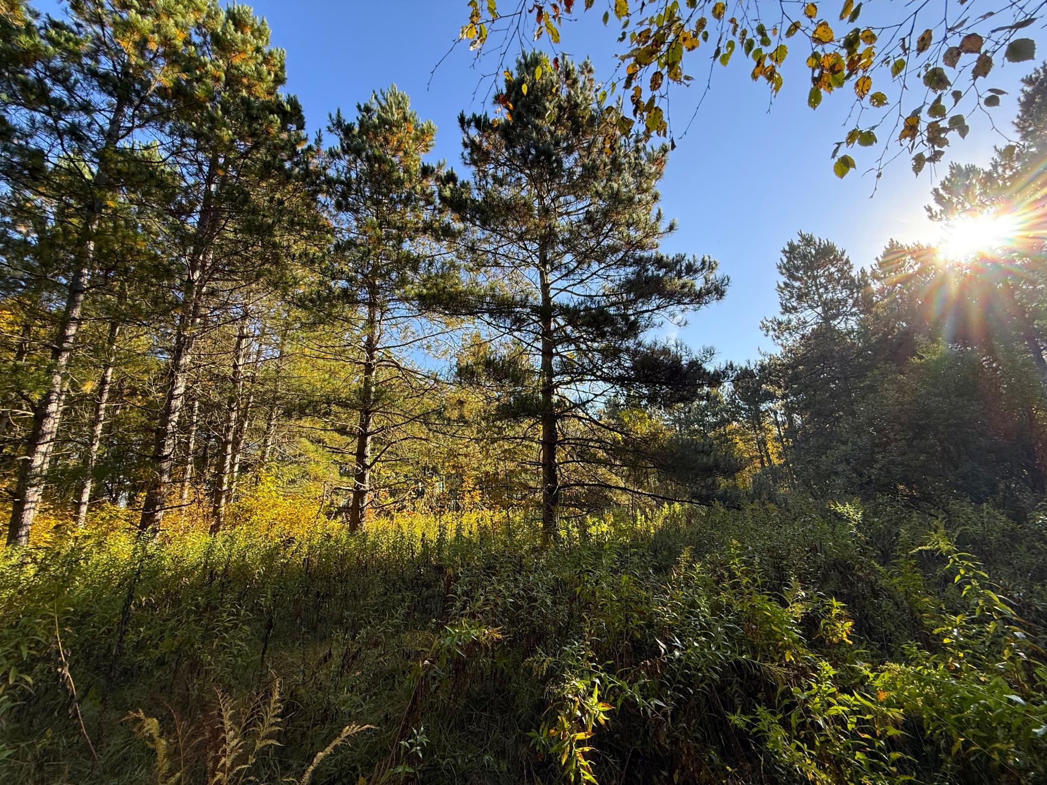Property photo for XXX 540th Lane, Palisade, MN 56469