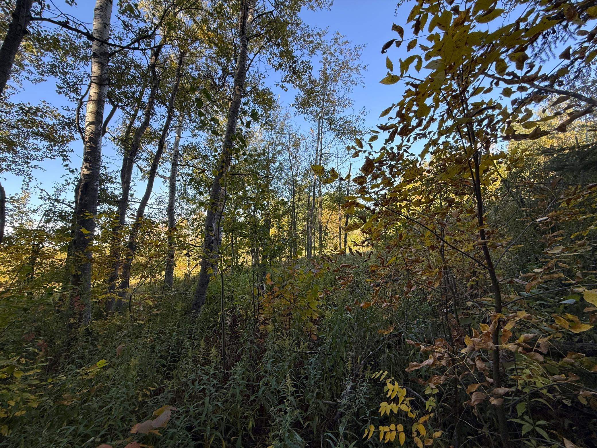 IMG_6385.JPG