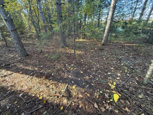 XXX 540th Lane, Palisade, MN 56469