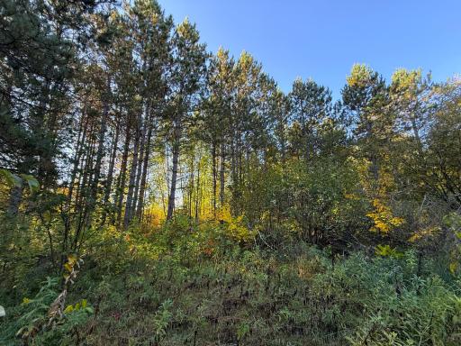 XXX 540th Lane, Palisade, MN 56469