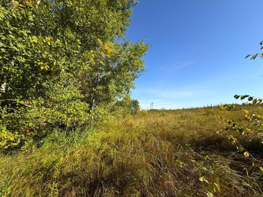 XXX 540th Lane, Palisade, MN 56469