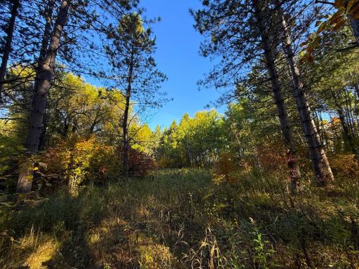 XXX 540th Lane, Palisade, MN 56469
