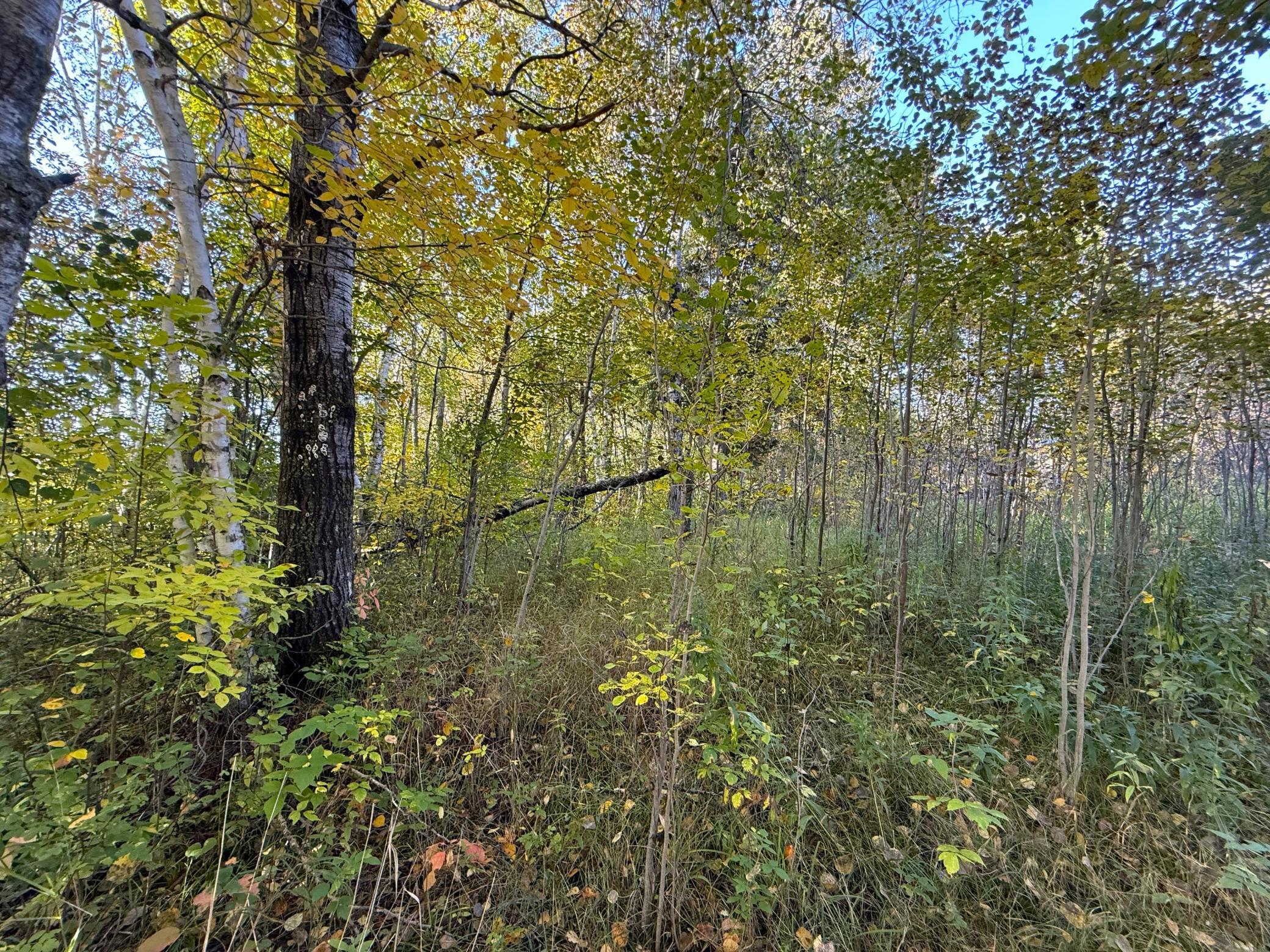 IMG_6382.JPG
