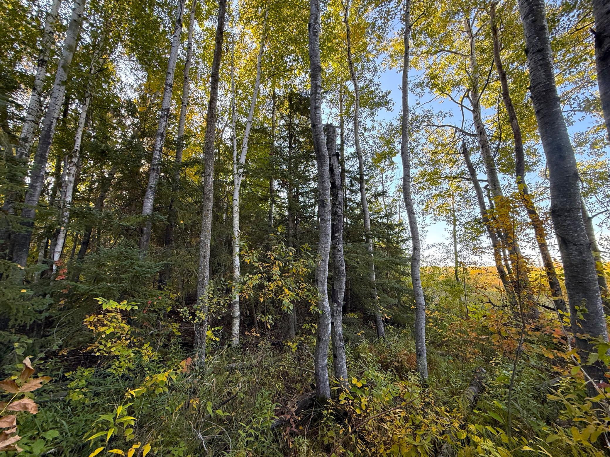 IMG_6384.JPG