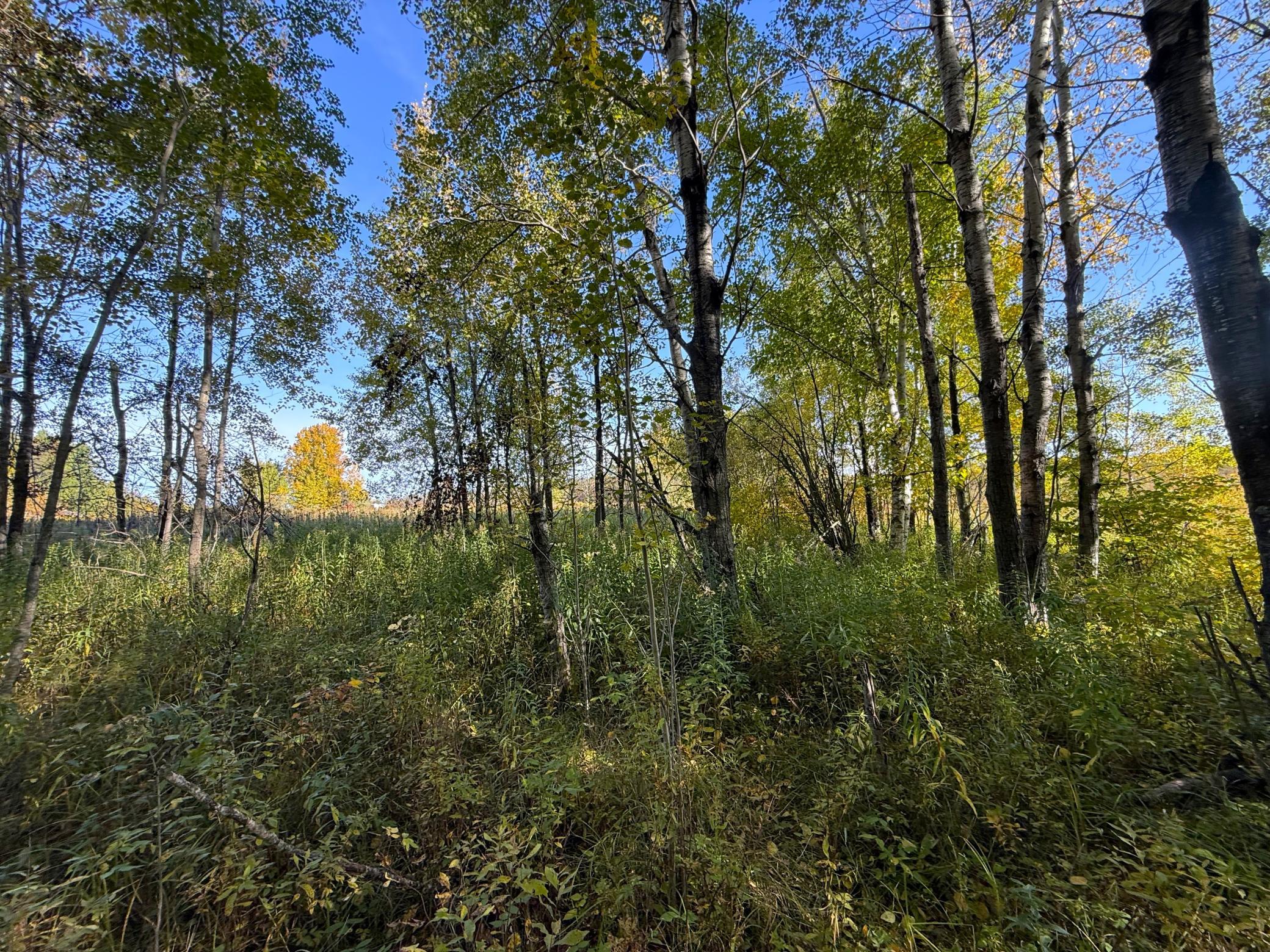 IMG_6410.JPG