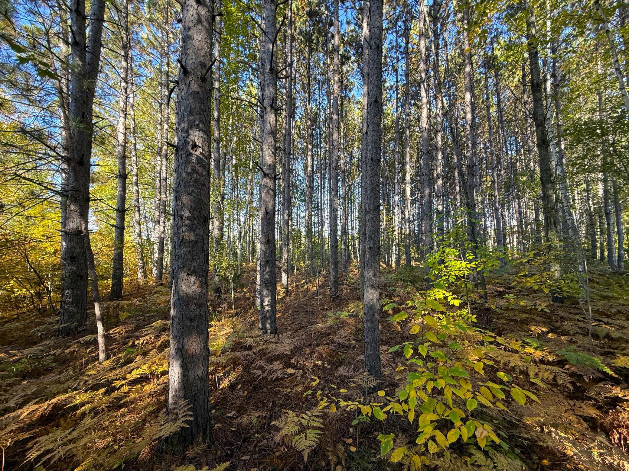 IMG_6406.JPG