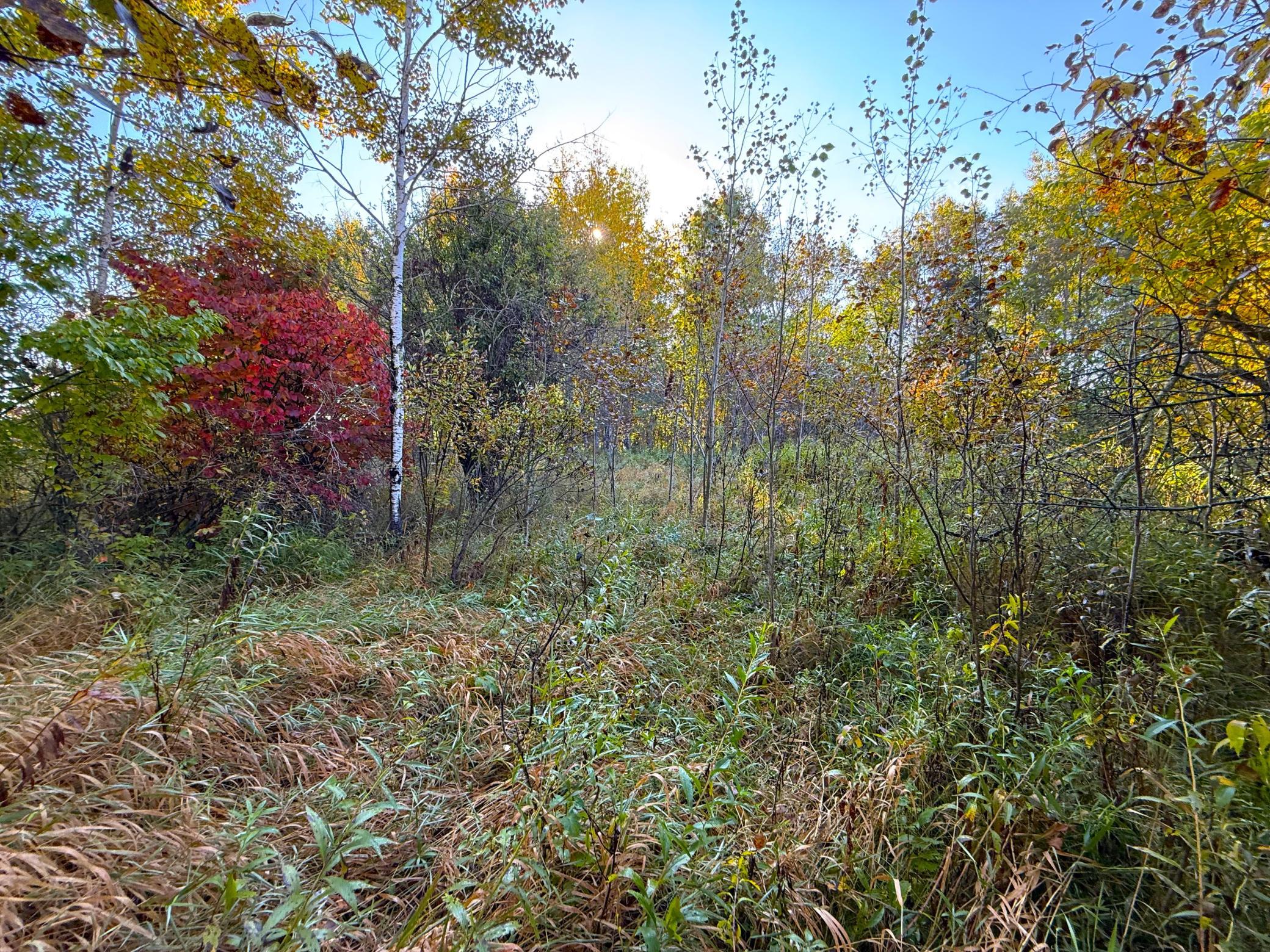 IMG_6377.JPG