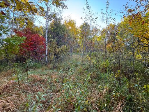 XXX 540th Lane, Palisade, MN 56469