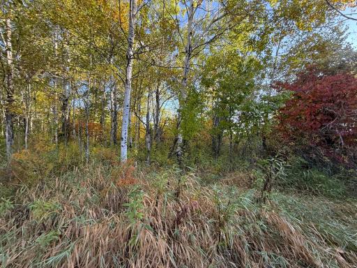 XXX 540th Lane, Palisade, MN 56469