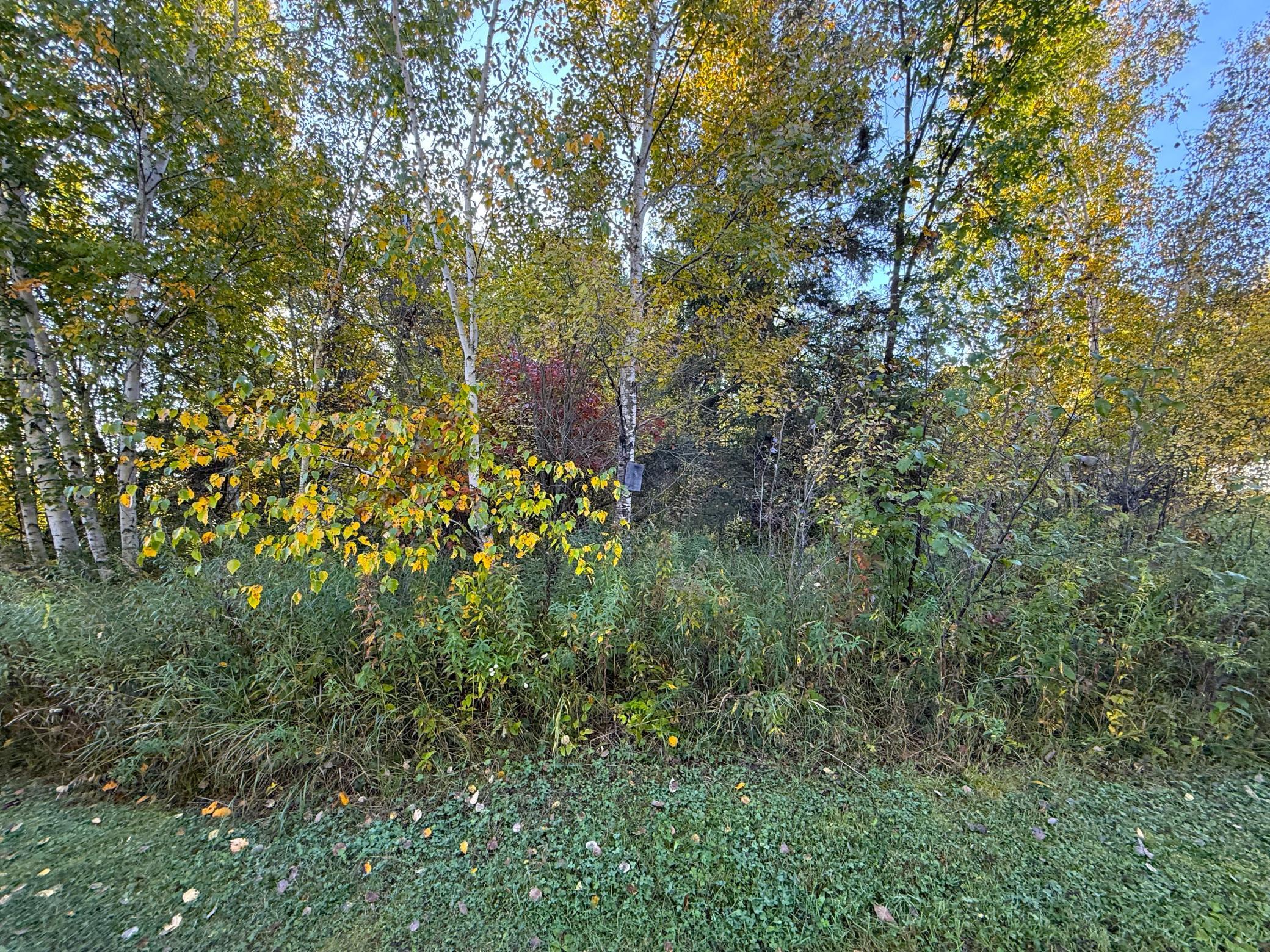 IMG_6376.JPG