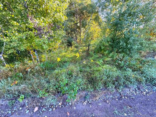 XXX 540th Lane, Palisade, MN 56469