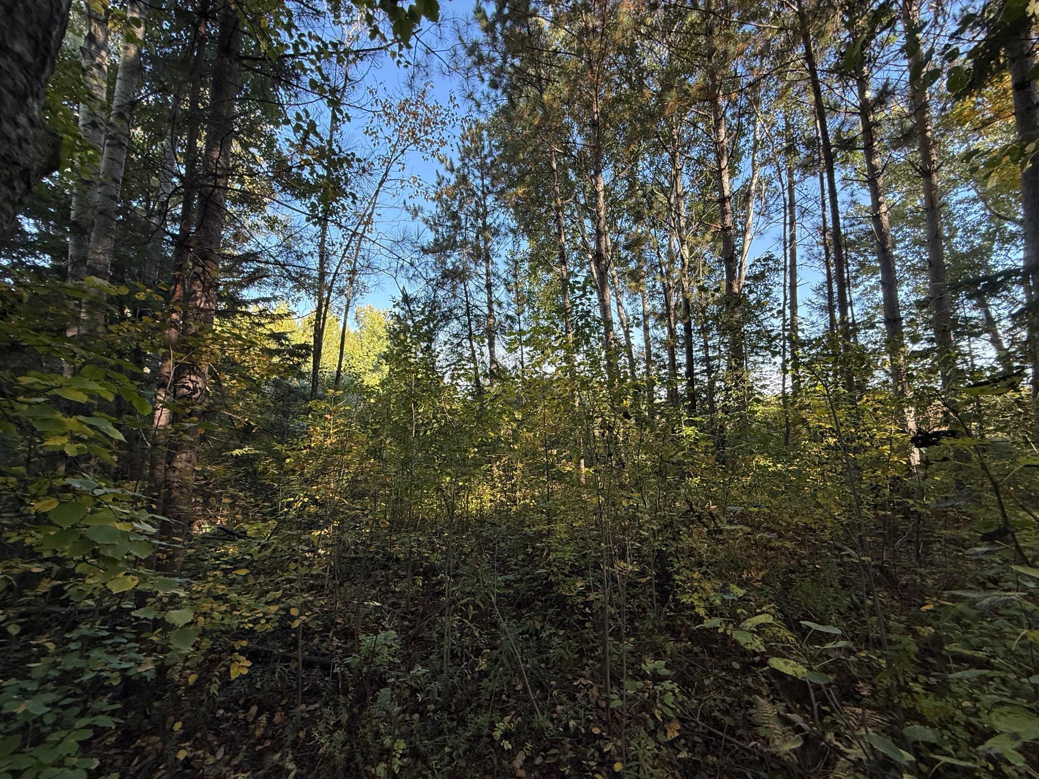 IMG_6387.JPG