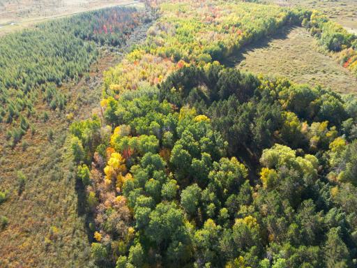 XXX 540th Lane, Palisade, MN 56469