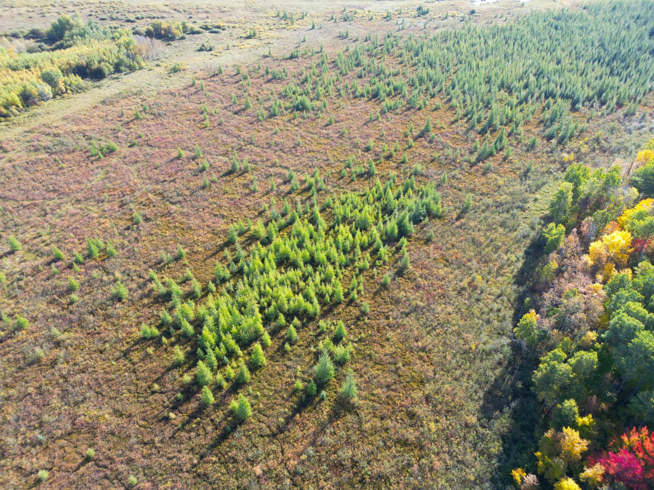 DJI_0310.JPG