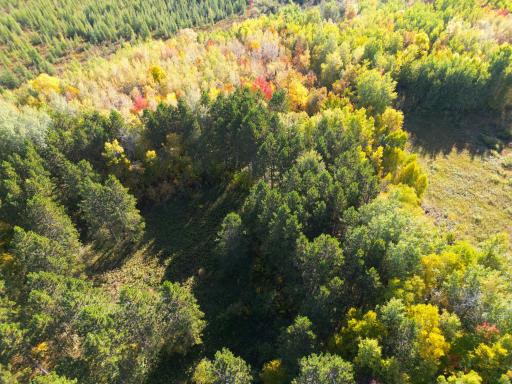 XXX 540th Lane, Palisade, MN 56469