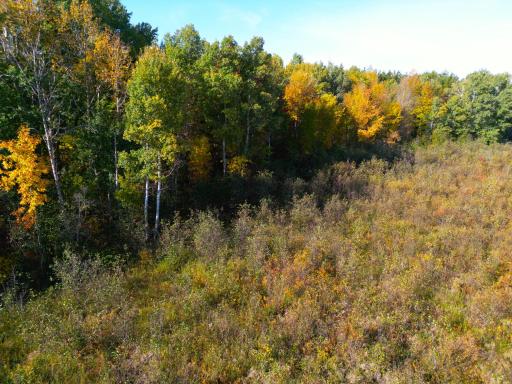 XXX 540th Lane, Palisade, MN 56469