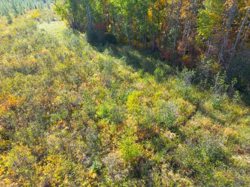 XXX 540th Lane, Palisade, MN 56469