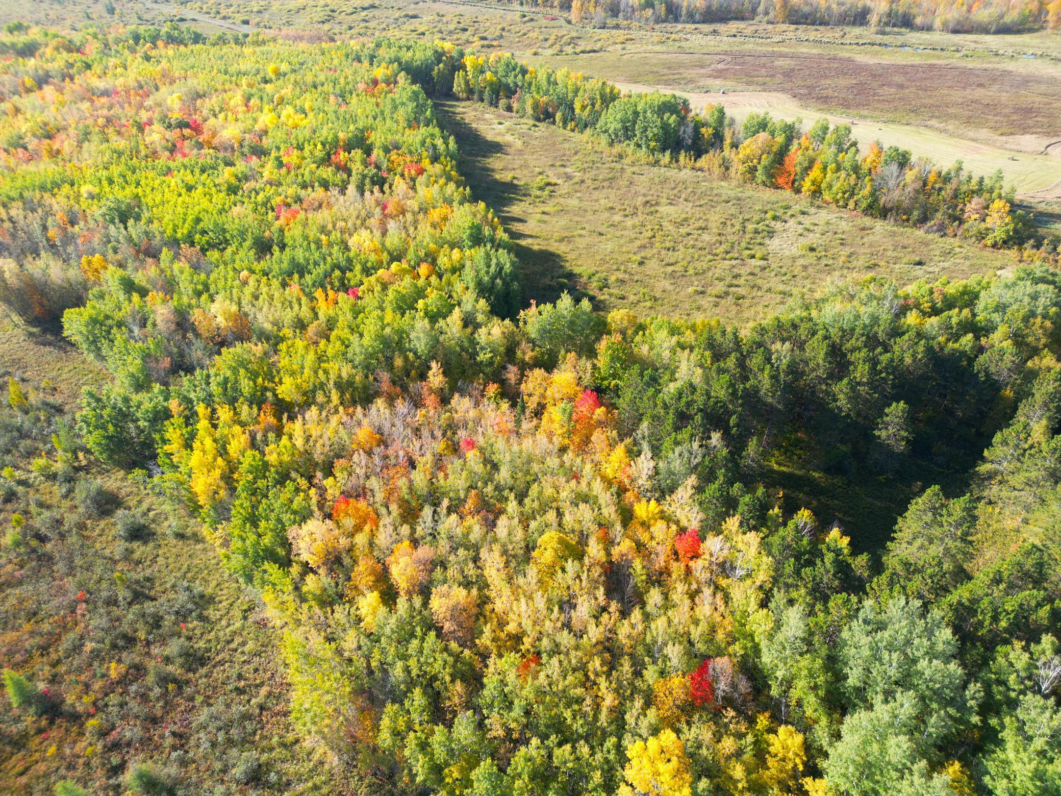 DJI_0315.JPG